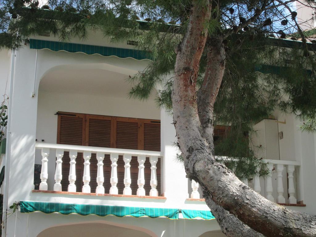 Residence Los Jardines Alcoceber Room photo